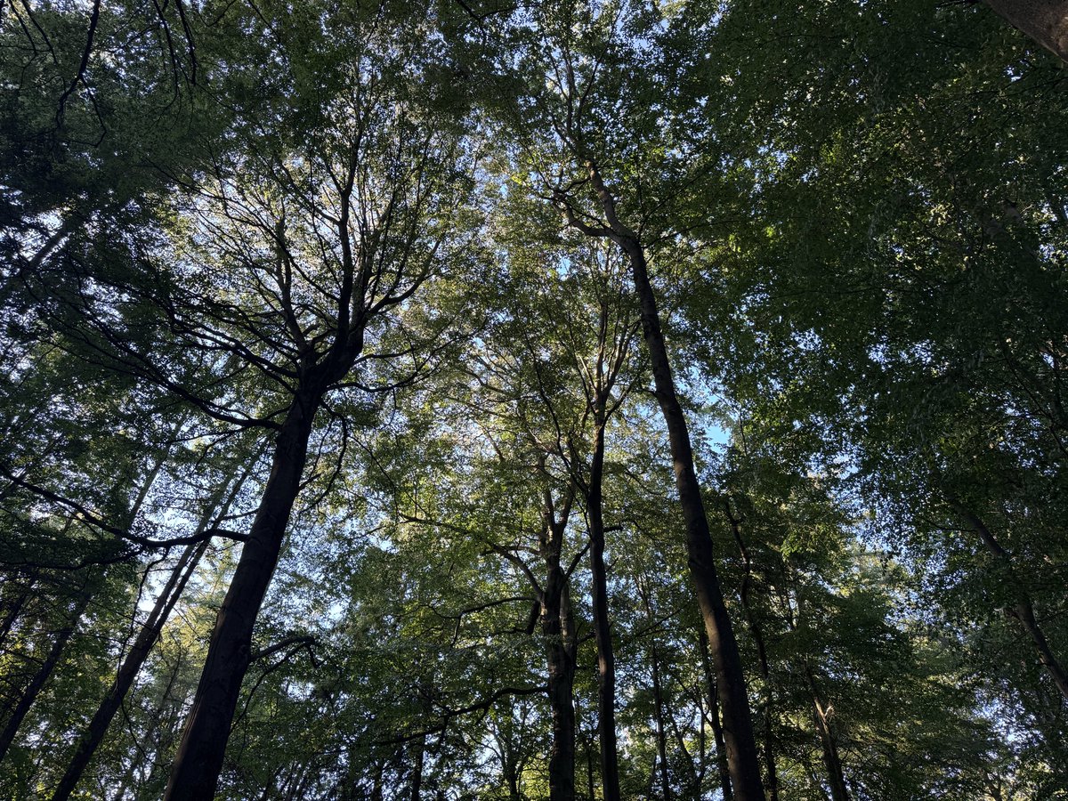 Crypto_marina's tweet photo. Touching the grass and building the decentralized future at the same time feels so special🌲💻

@GETDWeb #dwebcamp https://t.co/DVM0npOR5p