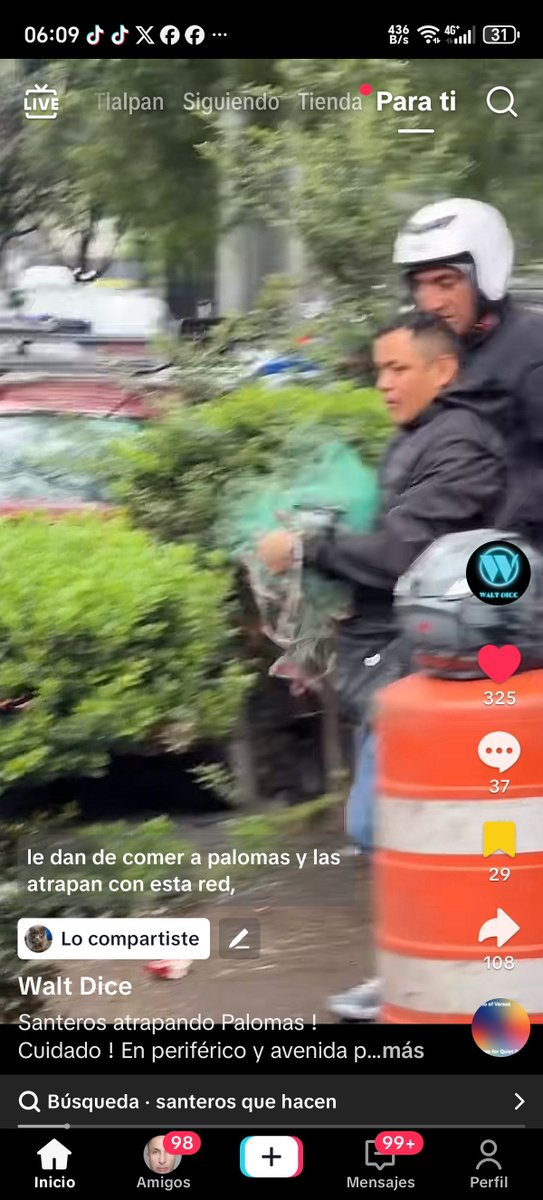 TepiCoapa2025's tweet photo. Estos son los santeros que andan en el sur de la ciudad atrapando gatos y palomas para hacer santería
Si los ves denuncialos @SSC_CDMX #coapa #tlalpan #coyoacan #narcisomendoza #xochimilco @PROFEPA_Mx @TlalpanAl @XochimilcoAl @Alcaldia_Coy https://t.co/yXYRlVHUga