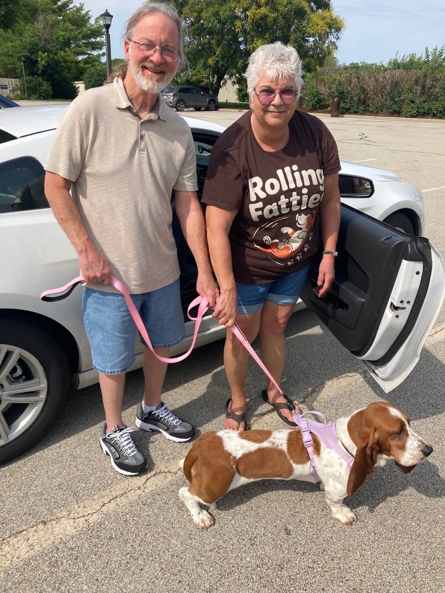 GABR_Bassets's tweet photo. Aarrhhoooo! Congratulations to Tina on her #Adoption!
Other #Basset Hounds who are still looking for forever homes: https://t.co/SqhwWBOiWB
#AdoptDontShop #BassetHound #RESCUE https://t.co/JgBEZaDLdb