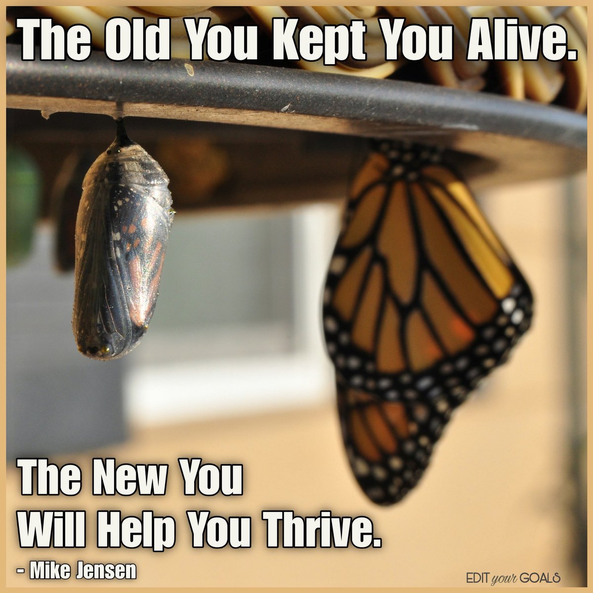 MBR3Coaching's tweet photo. Who could you become if you stopped defending who you used to be?

Most people think they sabotage themselves because they lack discipline or do not want success. I do not believe that is true. What we call self sabotage is usually self preservation. Your mind is not trying to destroy your future. It is trying to protect the identity that has kept you alive until now.

The greatest interference in life is not the world around you. It is the battle between who you have been and who you are capable of becoming. Your brain always chooses what feels familiar because familiar feels safe, even when it keeps you unhappy. Every time you choose certainty over growth, comfort over purpose, or fear over possibility, you strengthen the identity you already have instead of creating the one you truly want.

The good news is that your identity is not permanent. It can be influenced. Awareness is always the first step. When you feel resistance, stop judging yourself and become curious. Ask yourself what fear is trying to protect you from. Then take one small action your old identity would never take. One conversation. One boundary. One decision. One act of courage. Small consistent actions teach your mind that growth is safe.

Your potential has always been there. Fear and internal conflict have simply been interfering with it. Every new thought creates a new emotion. Every emotion influences your actions. Every action creates your results. Change begins the moment you stop protecting the person you used to be and start building the person you were created to become. The life you want is waiting on the other side of the identity you are finally willing to release.

If this message spoke to you or something within it resonated, I invite you to check out my other ideas in my books sold on Amazon.  They have already helped thousands worldwide. 

– Coach Mike

EDIT Your GOALS

Every
Day
Internal
Thoughts

Guarantee
Our
Absolute
Life
Situations

#old #protect #alive #new #thrive 

Background Photo Credit:
Suzanne D. Williams