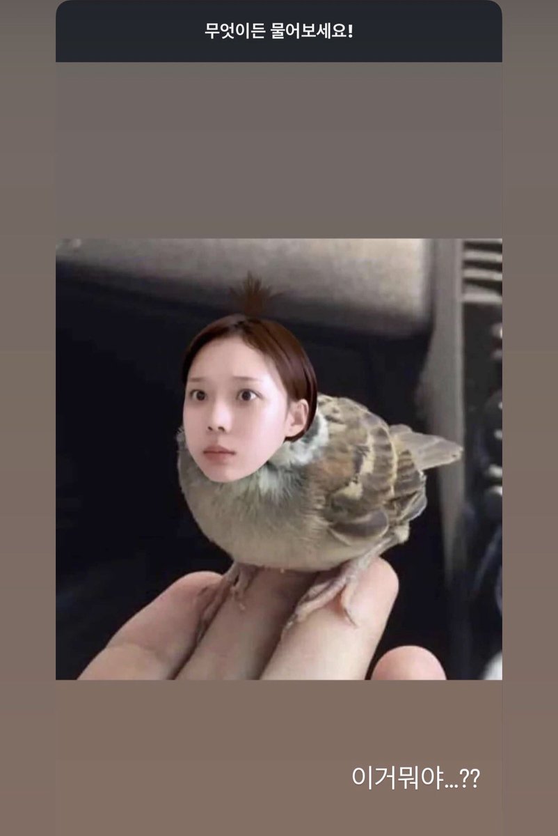 mjkmwntr's tweet photo. 😂 MINJEONG

“What is this…??” https://t.co/G04DwtYtMr