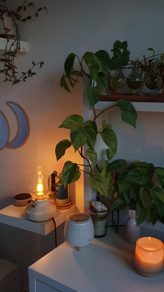 PretNatalia's tweet photo. Arranging my home space is an endless but highly pleasant process. Bought a new plant and a cool minimalist lamp. The room instantly transformed, comfort is at its maximum. https://t.co/8Y9wyqKblz
