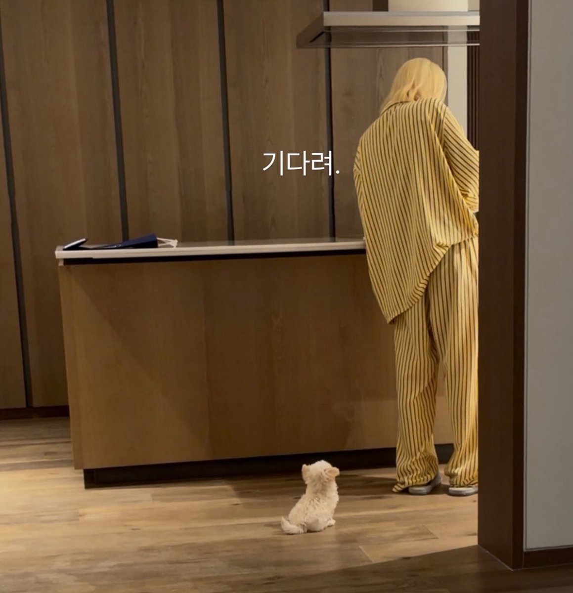 soshirevelae's tweet photo. I can imagine karina taking photos of her puppies (minjeong and bbonyo) 😭😭😭 https://t.co/JVlIDyrQiz