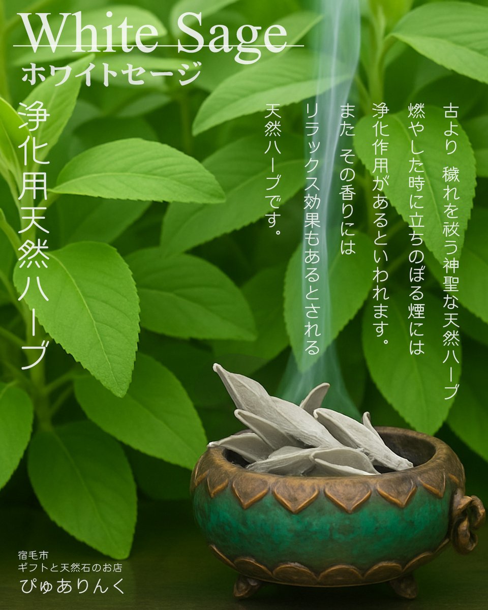 purelink_gift's tweet photo. 『ホワイトセージ』 販売しております。
カルフォルニア産と国産ホワイトセージを販売しております。

ピュアリンク
高知県宿毛市宿毛5380-1
フジ宿毛店テナント
電話：0880-63-4666
https://t.co/qFLerrNEQa

#高知県 #宿毛市 #宿毛 #四万十市 #ホワイトセージ #ギフトショップ #フジ宿毛店 https://t.co/J5oE1PhUYL