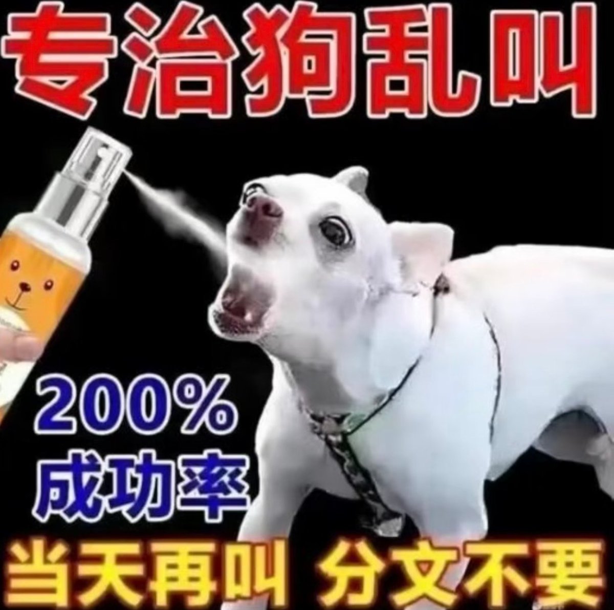flanbai's tweet photo. 泰国发猴瘟了，转发更是闹鬼了，不知道在急什么，什么时候喊人来拿枪打 https://t.co/2QbhsNZVta