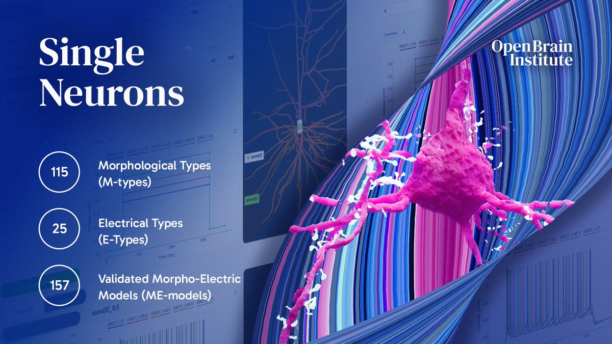 OpenBrainInst tweet picture