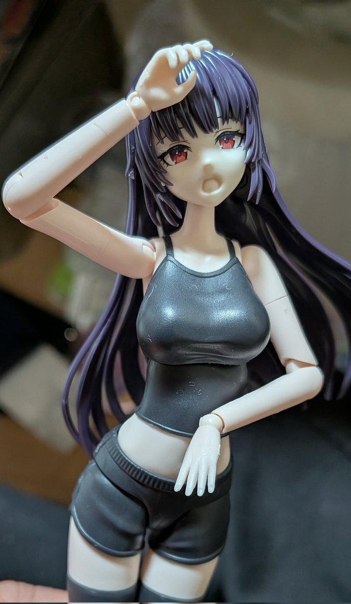 公式の横に自分の作品を並べる ちょっと違う😅