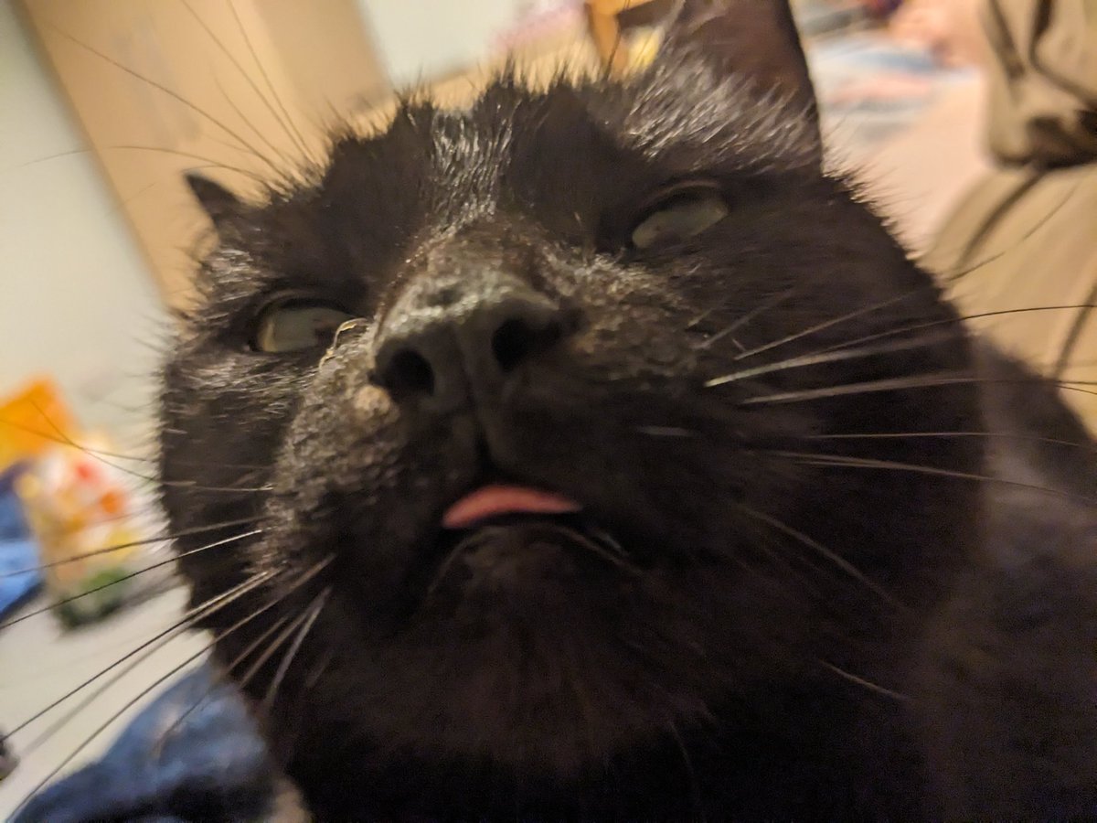 astronomiller's tweet photo. finally redoing this properly!! honestly not even that nsfw but i enjoy my nsfwtwt sillies :3

-call me astro!!
-24
-he/him
-bi+switch
-very flexible kinks-wise
-dms open!
-i love space and my cat!! ^-^
-i have a telescope!! these are all my pictures :)

like + rt!! https://t.co/gjTRGPQTzw