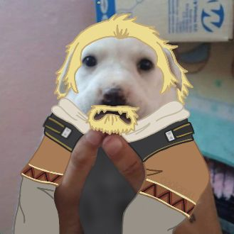 C4rmydumps's tweet photo. who made this this is so cute and dumb just look at him https://t.co/p0LEVIXd2N