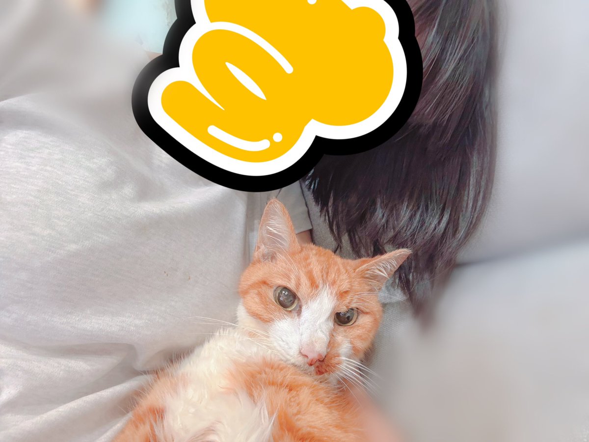 Post by すず🔔 on X: ❤️‍🔥