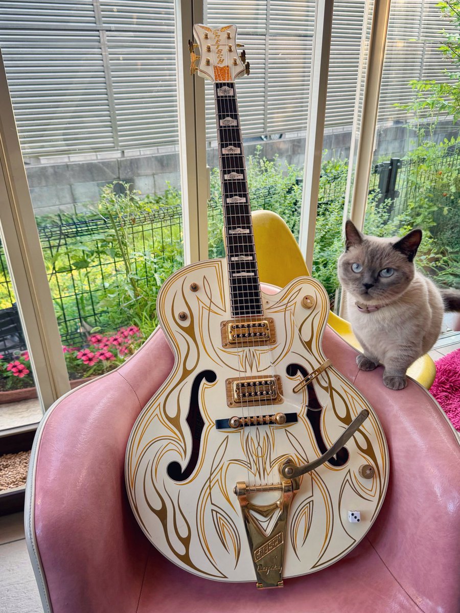 denoudo's tweet photo. ホワイトファルコンのピンストは、昔からの友だちMOONEYES石井ちゃんに描いてもらった。派手にカッティングするとペイントが削れちゃって修正してもらうのが悩みだったから、透明のピックガードをオーダー。制作してくれたPG Labさん、ありがと。クオリティはバッチリ！これで気兼ねなくROCKできるぜ🔥 https://t.co/NtIlgmMLuz