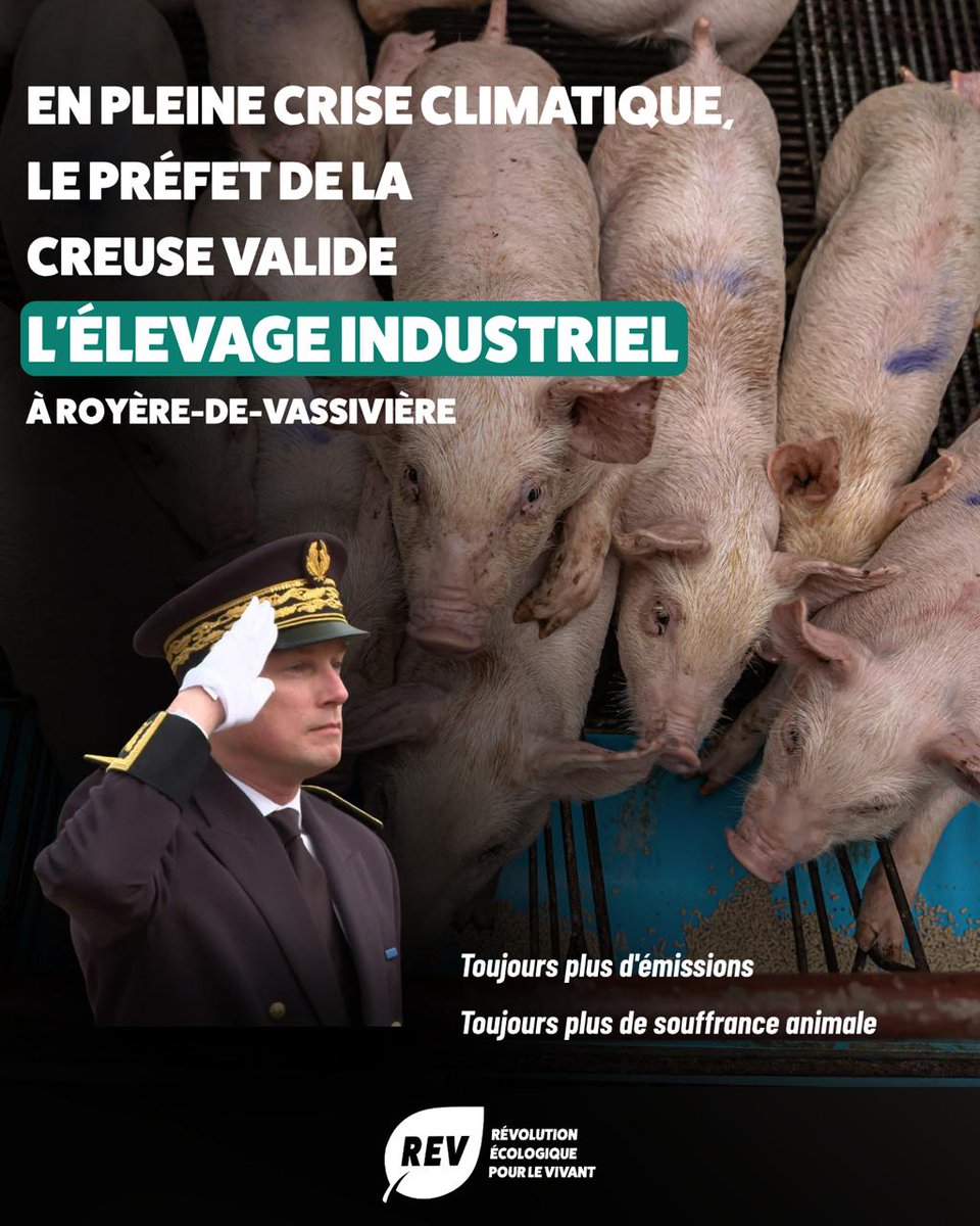 REVPourLeVivant's tweet photo. En autorisant une nouvelle porcherie industrielle à Royère-de-Vassivière, le préfet de la Creuse fait le choix d’un modèle agricole du passé.

Un modèle qui enferme des milliers d’animaux, aggrave les pollutions, alimente le dérèglement climatique et traite le vivant comme une simple ressource à exploiter.

Cette décision montre une nouvelle fois l’influence des lobbies de l’agro-industrie, qui freinent la transition agricole dont nous avons pourtant urgemment besoin.

À la REV, nous défendons la sortie progressive de l’élevage, l’accompagnement des agriculteurs dans cette transition et le développement d’une agriculture végétale respectueuse du vivant.

L’écologie radicale ne consiste pas à rendre l’exploitation un peu plus durable. Elle consiste à remettre en cause un système qui transforme tout le vivant en marchandise.