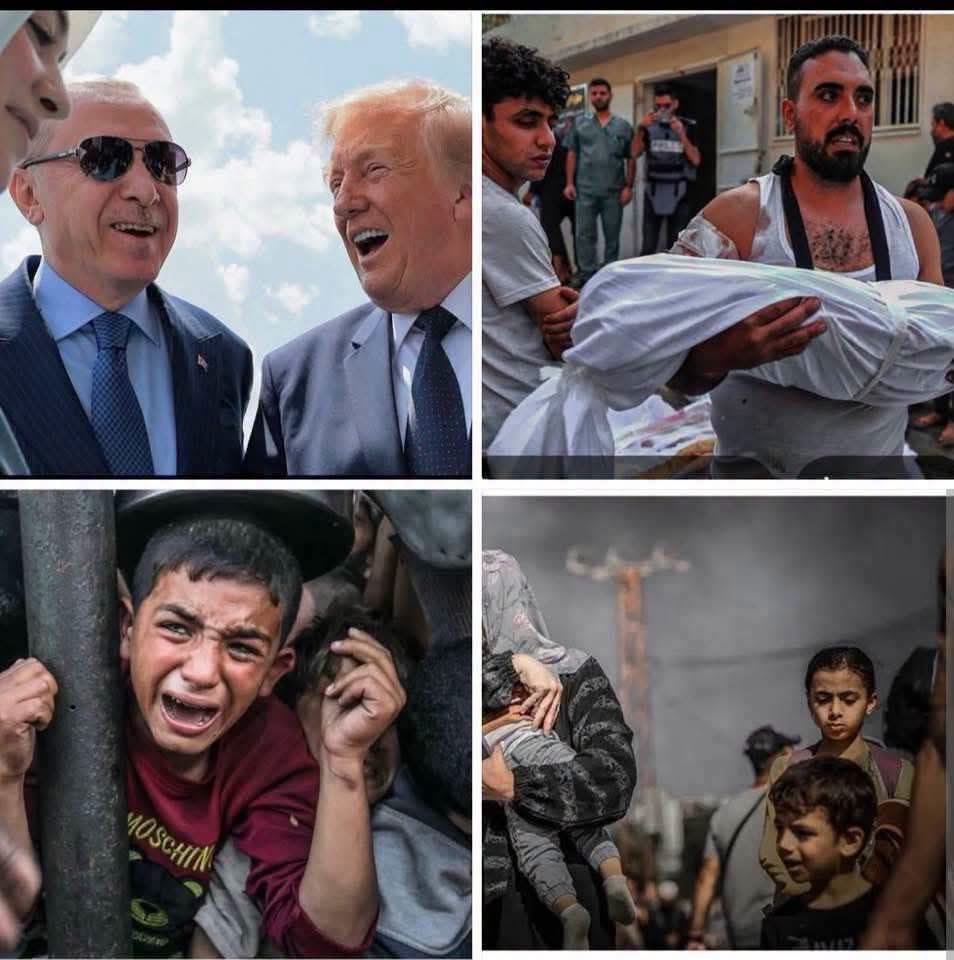 dumen_yunus's tweet photo. @06melihgokcek https://t.co/pRFSiras5a