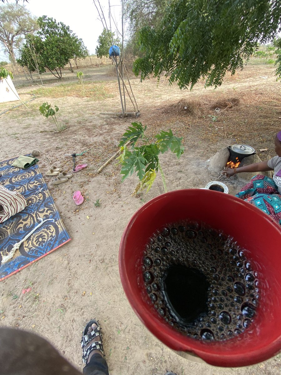 410MoBamba's tweet photo. C'est passionnant de travailler avec les producteurs locaux , surtout les GIE de femmes. Leur résilience, leur ingéniosité et leur générosité humaine sont tout simplement inspirantes.
Partout au 🇸🇳, elles m'enveloppent d'une immense bienveillance et d'une fierté partagée🤍. https://t.co/6RTzyhqZ7d