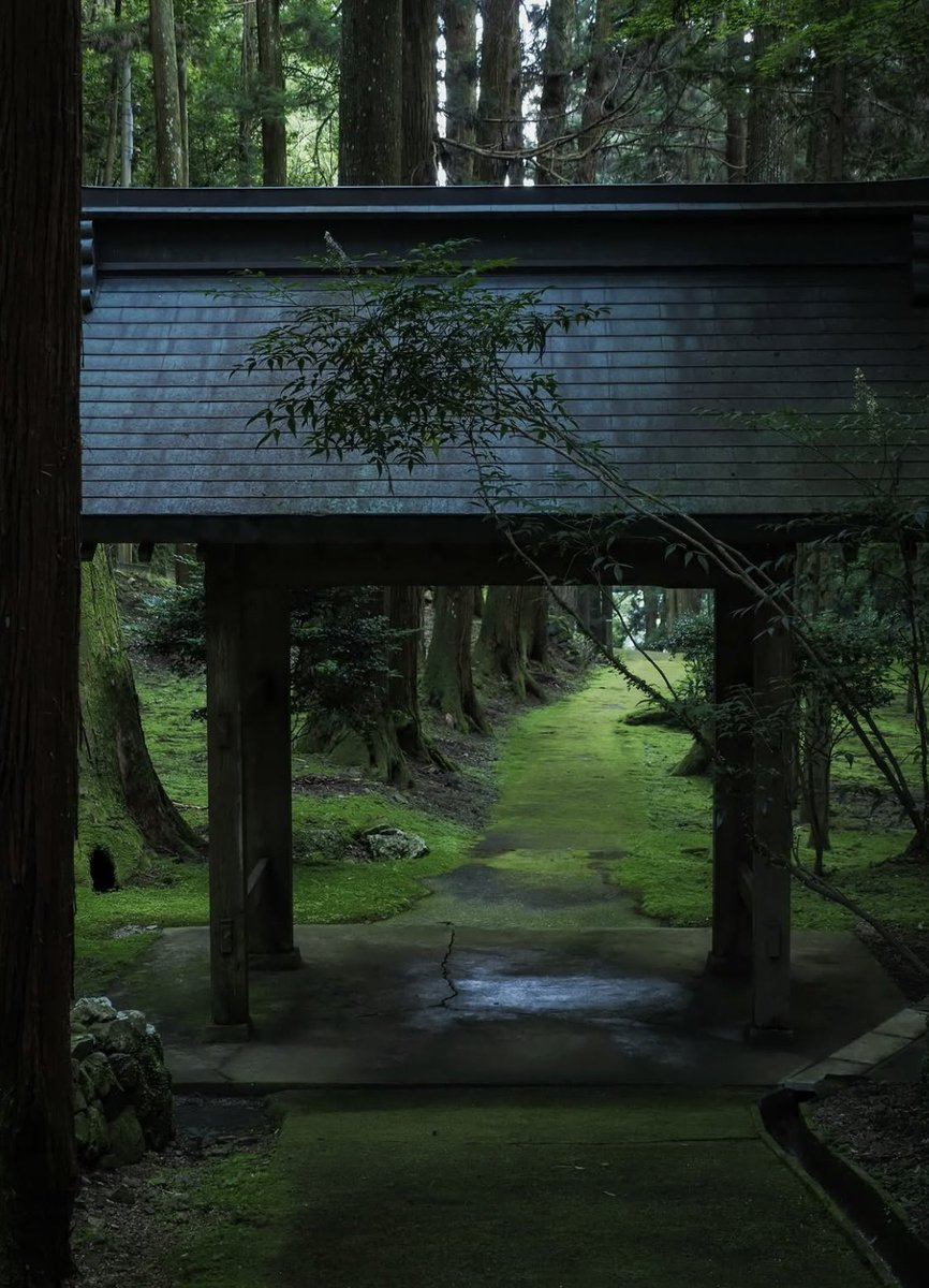 voshans's tweet photo. Ochtend in #Kyoto, #Japan…
(Foto TERA Photography)
#fotografie #photography #poort
#travel #travelphotography #gate
#landscape #landscapephotography
#natuur #nature #naturephotography
#tuin #Japansetuin #Japanesegarden
#garden #groen #green #zen https://t.co/GocNu5Wfxb