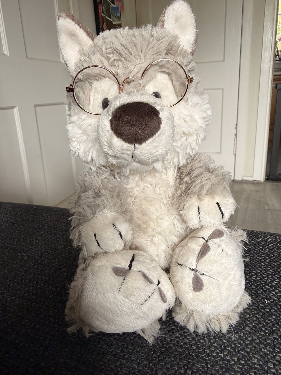 ItsMochiAgain's tweet photo. Wolfie also says we should keep fighting, just saying 😌

We’ll keep howling for love! 💚

I really should get some black round glasses for him, but these are also super cute 🥺💚

#ValkoIsThe6Li #ValkoIs6th #AoYin #VALKOBELONGS #VALKO #BRINGBACKVALKO #JusticeforValko #VALKOCOMEHOME #BRINGVALKOBACK #KEEPVALKOALIVE #BLACKOUTFORVALKO