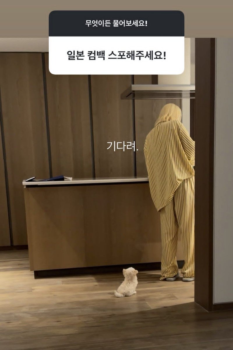 imwinnerbluu's tweet photo. this tiny peek into jiminjeong’s domestic life alr has my heart weak i don’t know if id survive an actual live or vlog https://t.co/A1OPD2TJzv