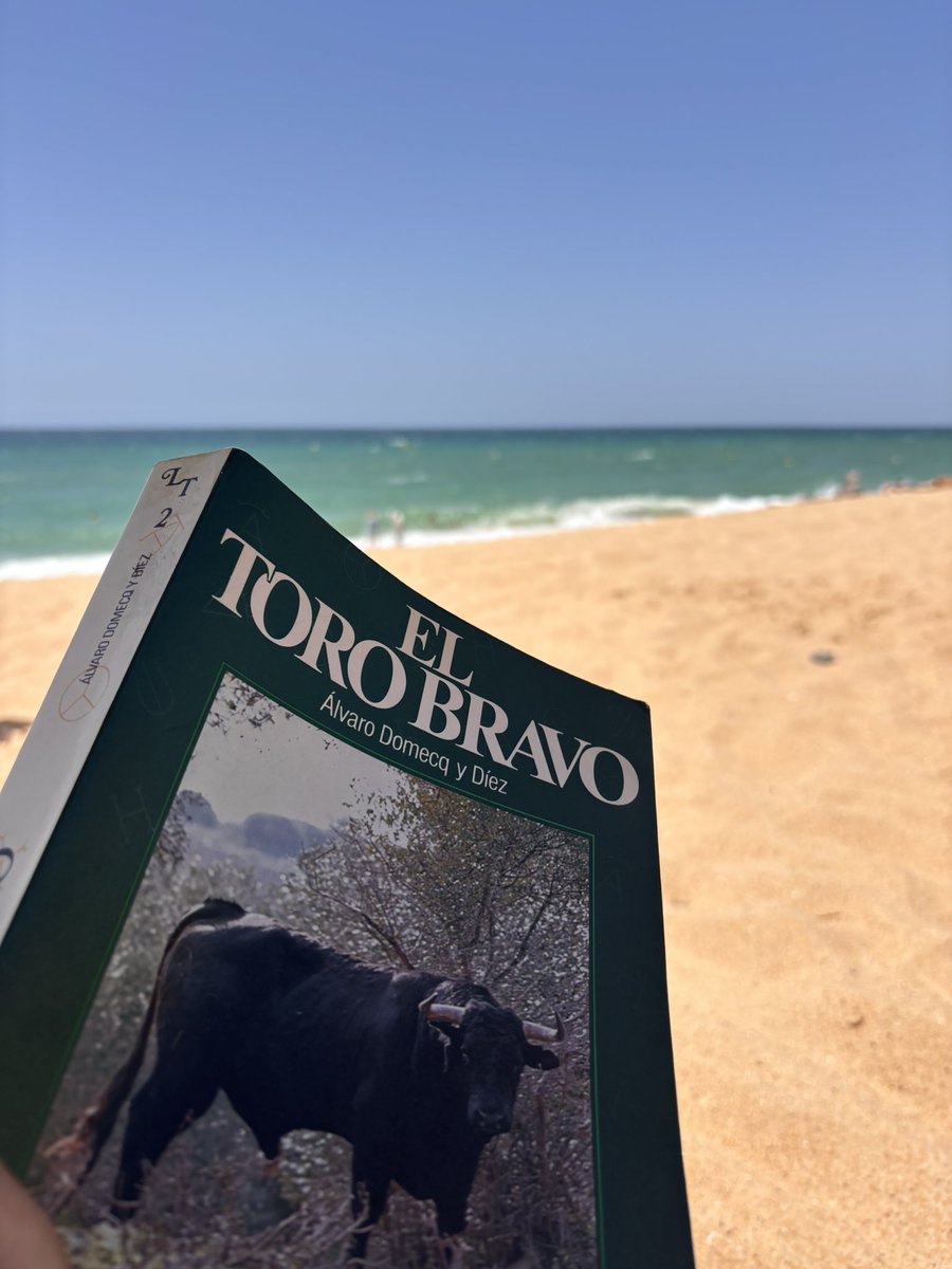 imuruvebarrero's tweet photo. Escuchar “Desamparo” de Beigbeder en la playa de Faro y leyendo “El Toro Bravo”, de Álvaro Domecq.

No se le puede pedir más a la vida.

Bueno, sí, hay toros en Sevilla esta noche que se verán por @OneToroTV https://t.co/2jb7DIrtlx