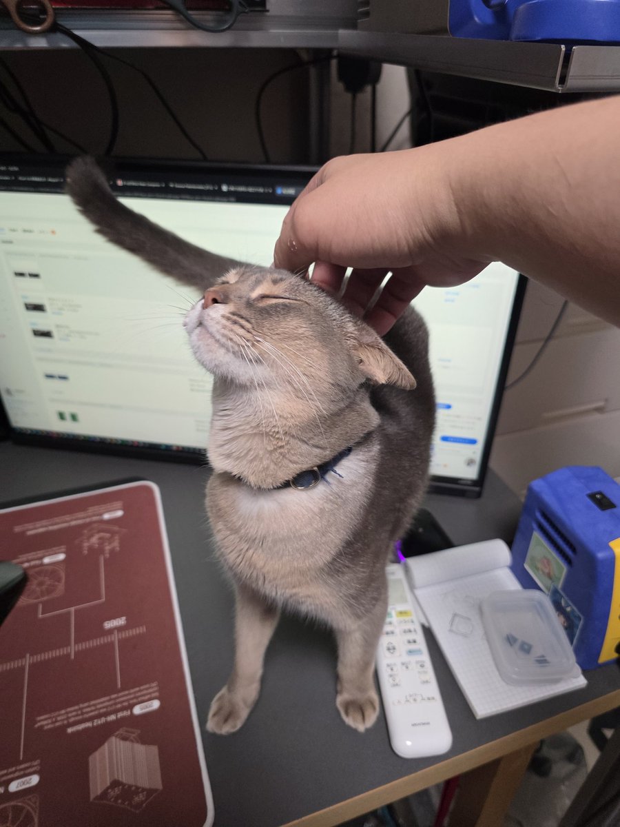 Post by えむねふぉ🐱😺😼🙀 on X: ただいま