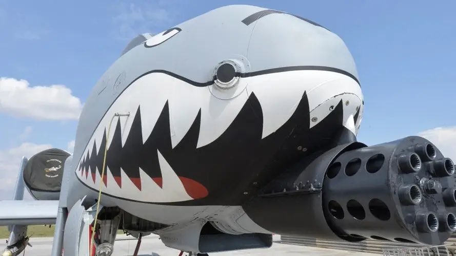 A-10 Thunderbolt II "Warthog" tweet media