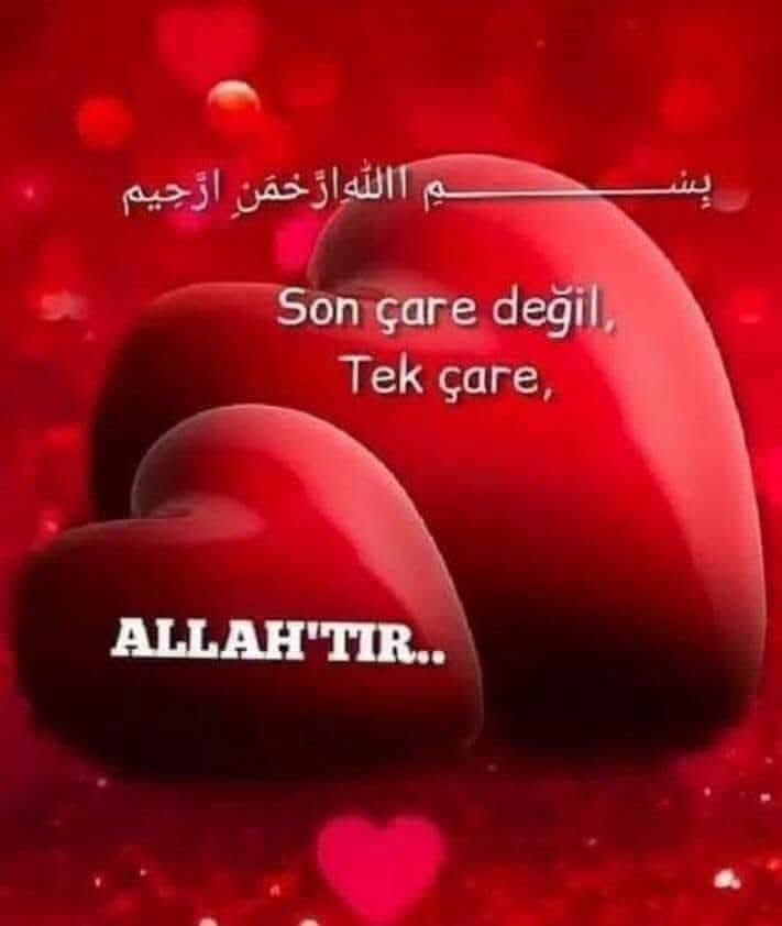NaimeH123's tweet photo. ﷽
“Allah, kendisinden başka hiçbir ilah bulunmayandır. Mü’minler yalnız Allah’a tevekkül etsinler.”

(Teğâbun Sûresi, 13) https://t.co/WDhi6Hy0YB