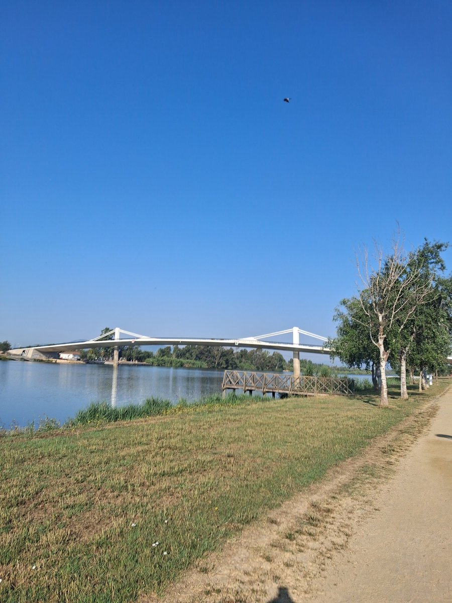 bellaubi's tweet photo. 🏃🏻‍♂️🏃🏻‍♂️🏃🏻‍♂️ esta mañana ☀️☀️☀️ https://t.co/ArHMY2rhTf