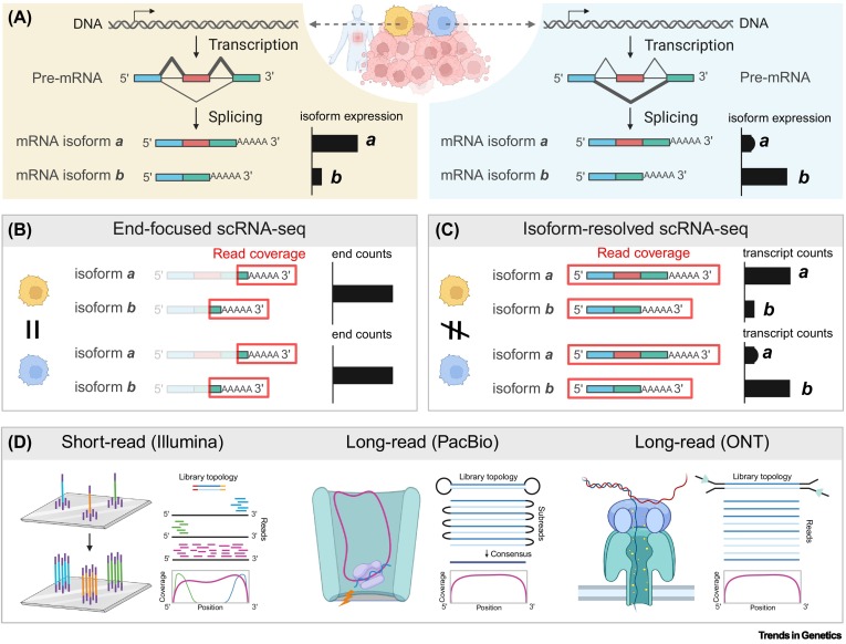 Trends in Genetics tweet media
