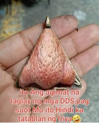 Sara #ParrotNgDavao tweet media