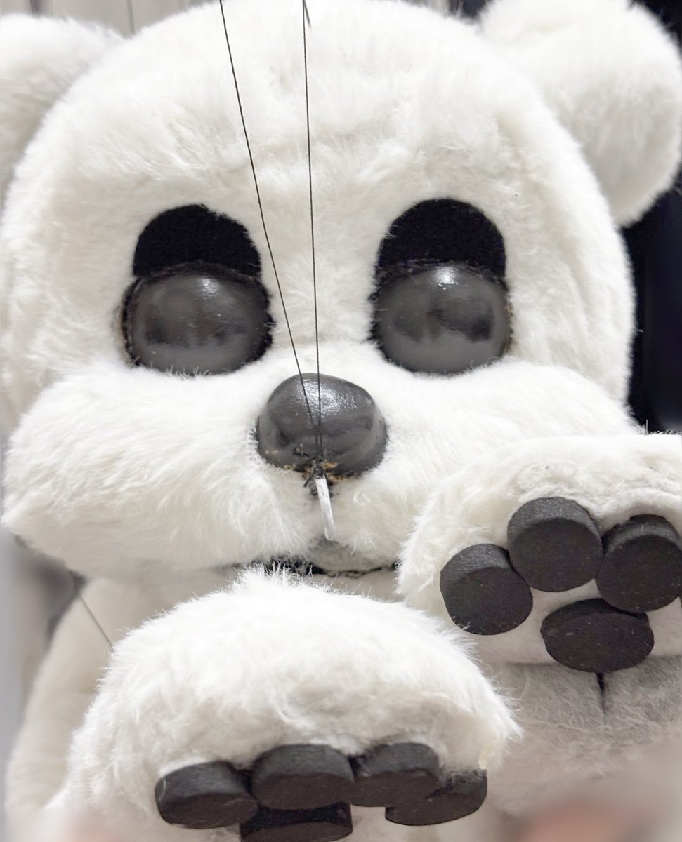 neeneko0's tweet photo. パジーさんのあんよ🐾
BOOP!も後半に突入🐶
⁡
カンパニーを支える一員として
引き続きがんばります🐾
⁡
#boopthemusical 
@boopjpmusical 
#梅田芸術劇場
⁡
#Pudgy
#hubermarionettes 🐾 https://t.co/wvbQKWcyf1