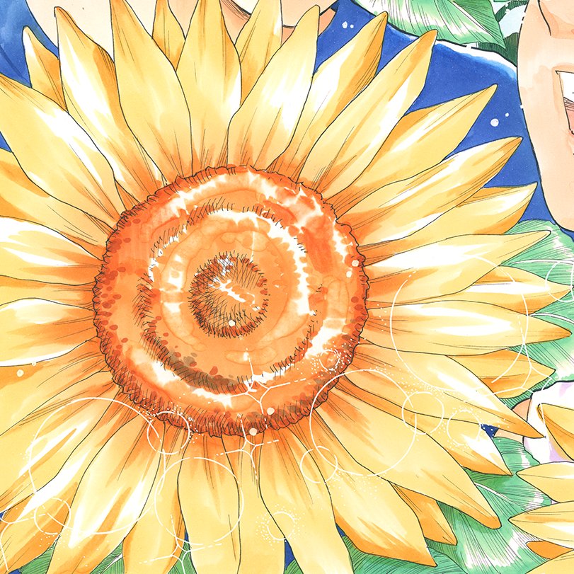 daijoubu_no_uta's tweet photo. 作品は完結しましたが、
ただいま単行本最終巻を鋭意制作中です！

４巻は夏にピッタリなキラキラな向日葵🌻
日下先生の美しいイラストを、ナルティス様に素敵にデザインいただきました✨️

乞うご期待です！ https://t.co/9MJu3YGvmu