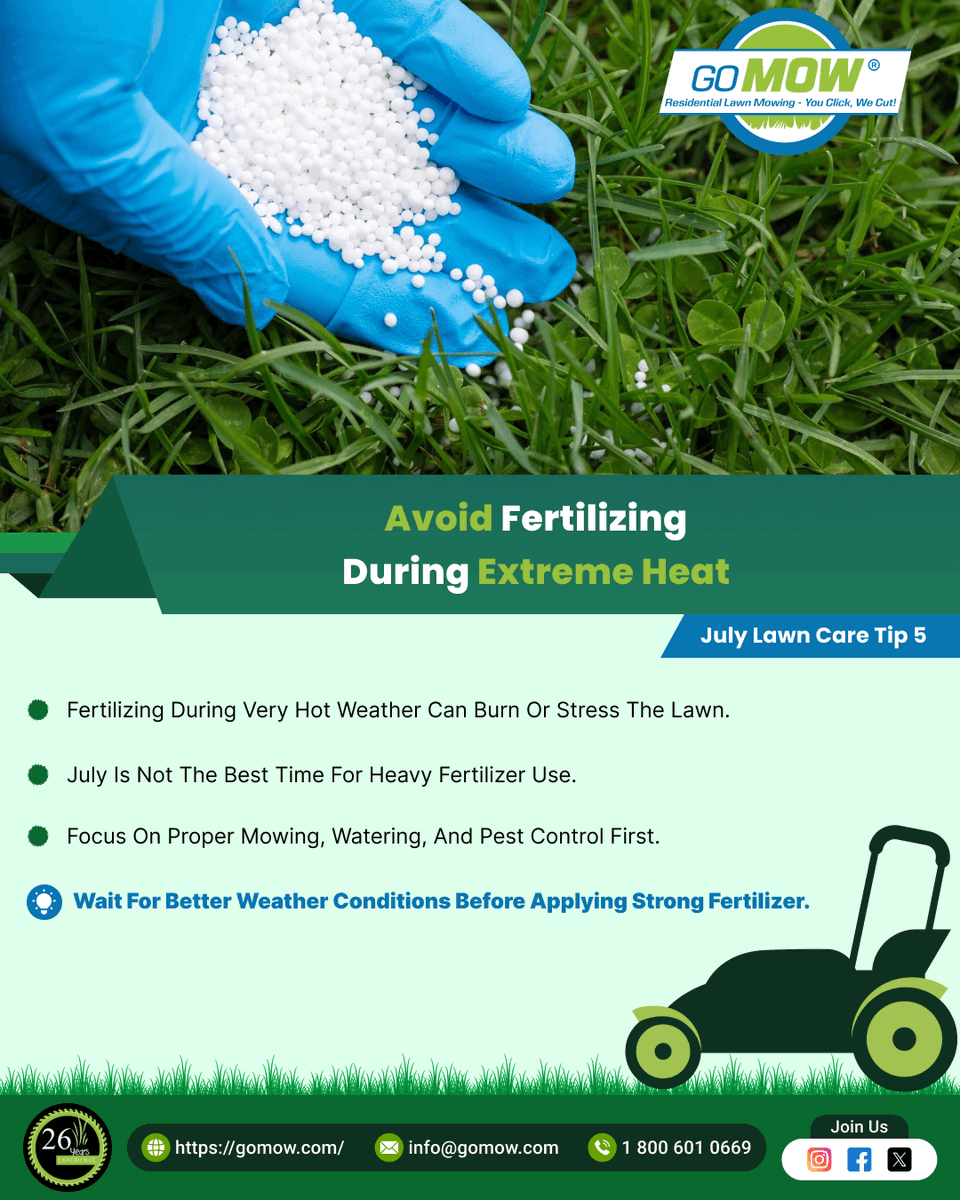 GoMowOfficial's tweet photo. July Lawn Care Tip 5: Avoid Fertilizing During Extreme Heat
👉 Fertilizing during very hot weather can burn or stress the lawn.
👉 July is not the best time for heavy fertilizer use.
👉 Focus on proper mowing, watering, and pest control first.
https://t.co/zg5Z3aVbYJ
#GoMow #Lawn https://t.co/HJk1Ebojke