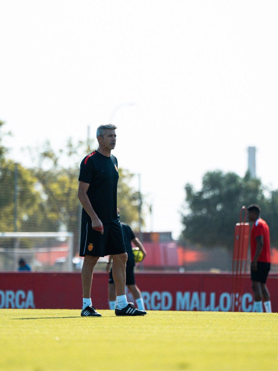 RCD Mallorca Base tweet media