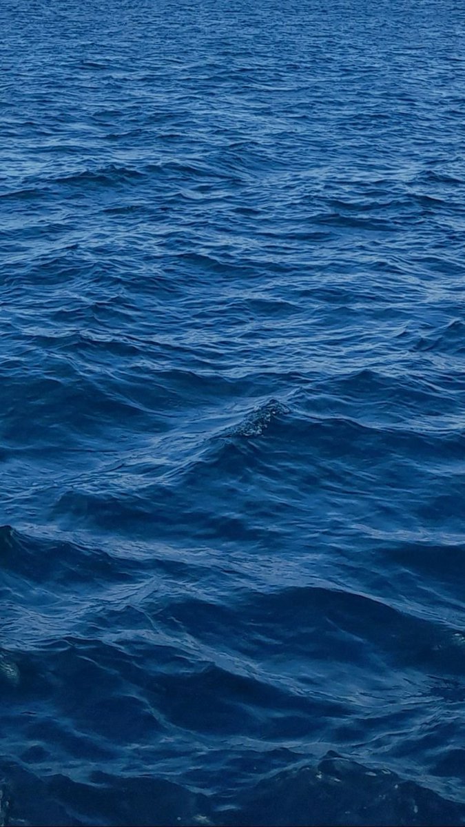 purelivn's tweet photo. shades of blue https://t.co/3c09KPoeyp