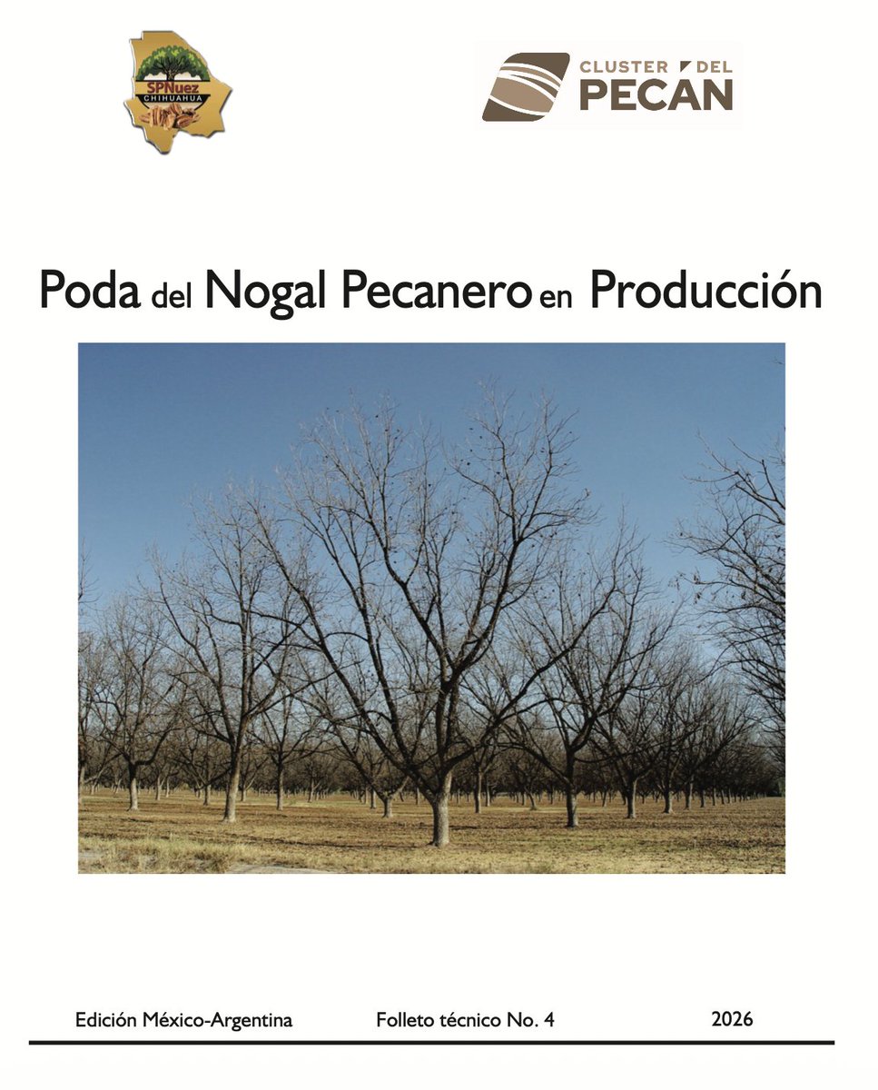 ClusterdelPecan's tweet photo. Como resultado de nuestra articulación institucional c/el Sist Producto Nuez de Chihuahua, lanzamos el folleto técnico “Poda del Nogal Pecanero en Producción”, edición 🇲🇽🇦🇷 2026, cuyo autor es el Dr. Socorro Tarango. El doc está disponible sin cargo p/socios y c/cargo p/no socios https://t.co/5MRUPqJSkw