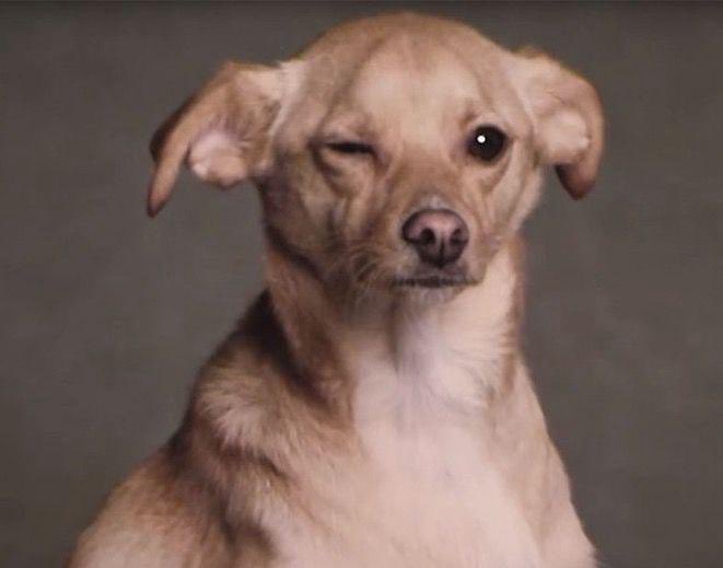 freaksbubble's tweet photo. toulouse grandes iconic wink 😉 https://t.co/dNTypNMYAm