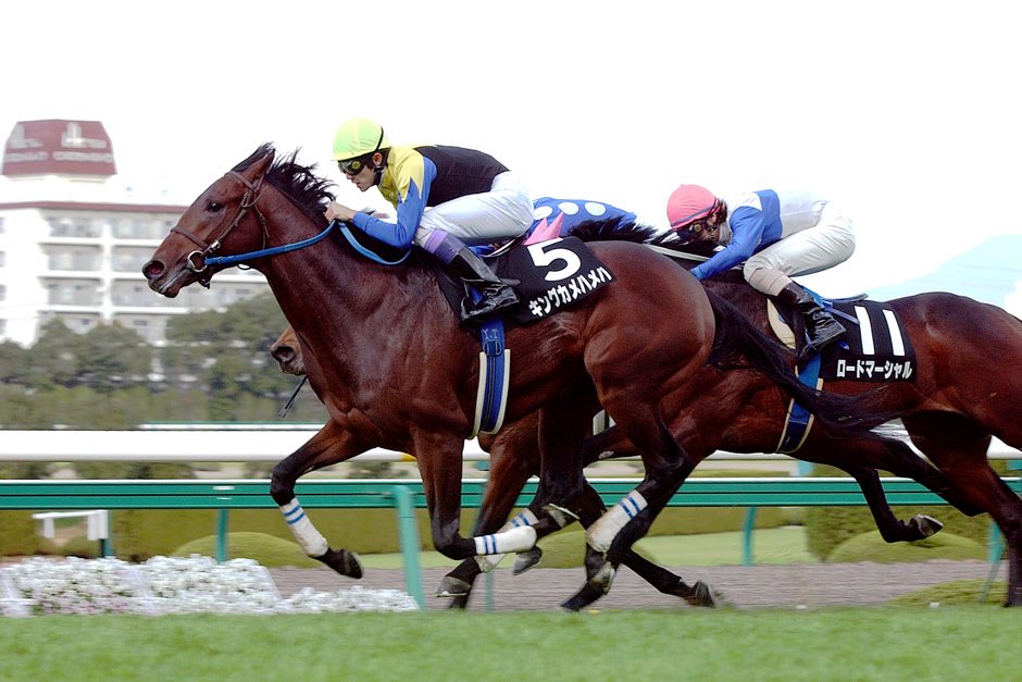qvfkeb's tweet photo. @specialitynurse 変則二冠ですがキングカメハメハ
ダービーレコード
種牡馬としての大活躍はディープ
同様に無限の可能性を感じます
ＪＲＡお墨付きの顕彰馬である
大王様に一票です😊 https://t.co/vccBc7BrrH