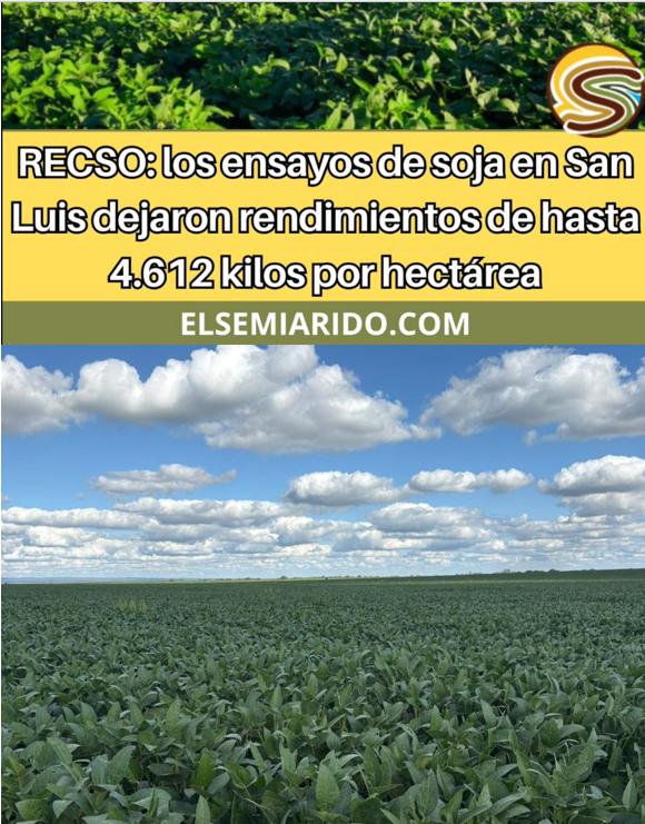 JorgeLMercau's tweet photo. #RECSO @intaargentina #SanLuis💪
Ensayos #Soja en Granville #SemiáridoCentral,
CON el equipo d agricultura d SERBeef💪
👉https://t.co/FUSE7cMzDc https://t.co/nsVFUsWIYO