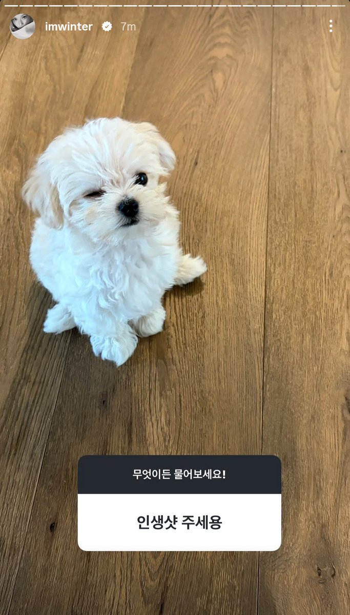 imwinnerbluu's tweet photo. finally yjm’s genes did Something https://t.co/GKMF1IVEQt