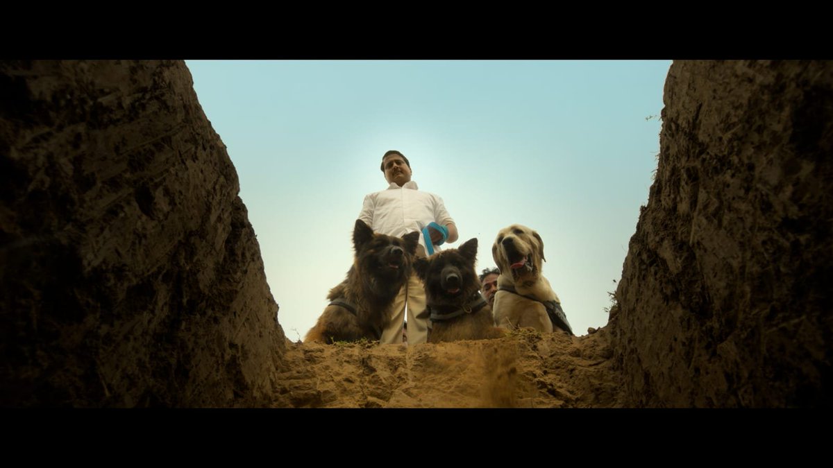 rena_768's tweet photo. Consider me officially excited after this teaser. The trailer is going to be worth the wait! 🐾🎬 #OhhMyDog
https://t.co/wH0u9CUpS7