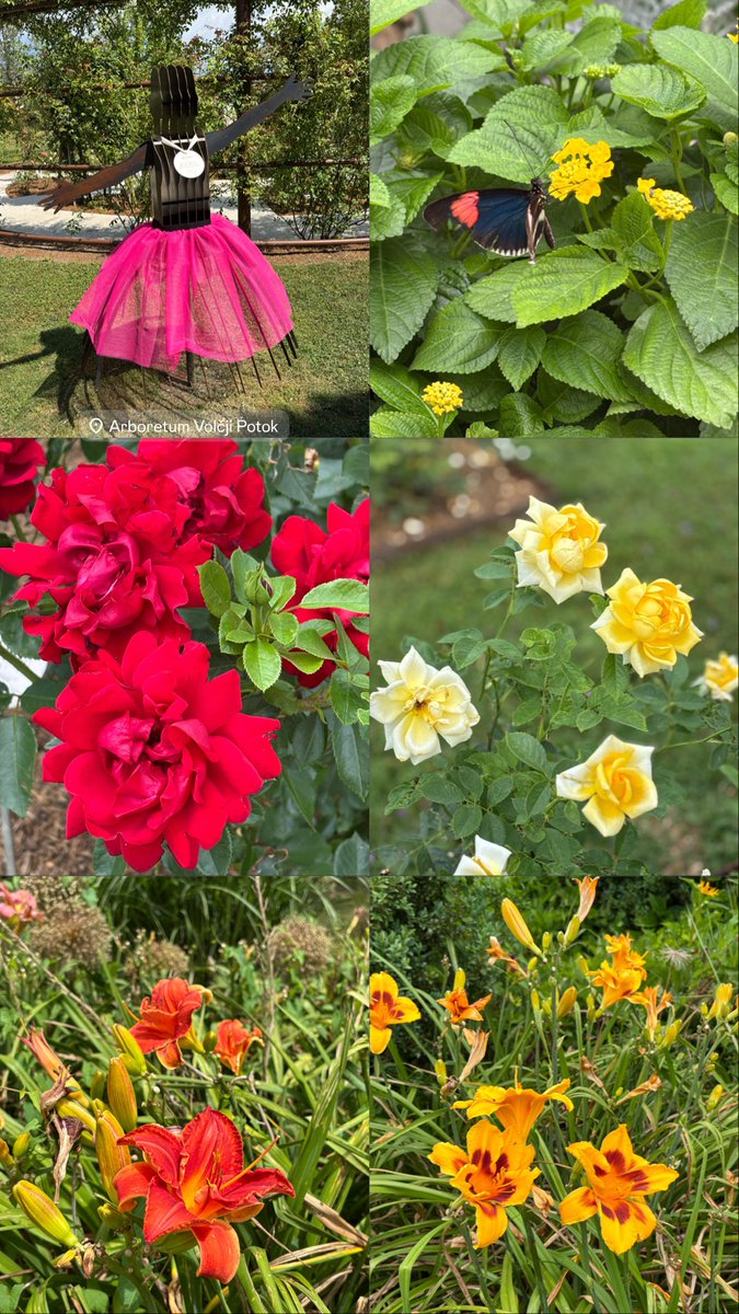 ModernaKmetica's tweet photo. Arboretum 🤍 https://t.co/CJMCBJTa3T