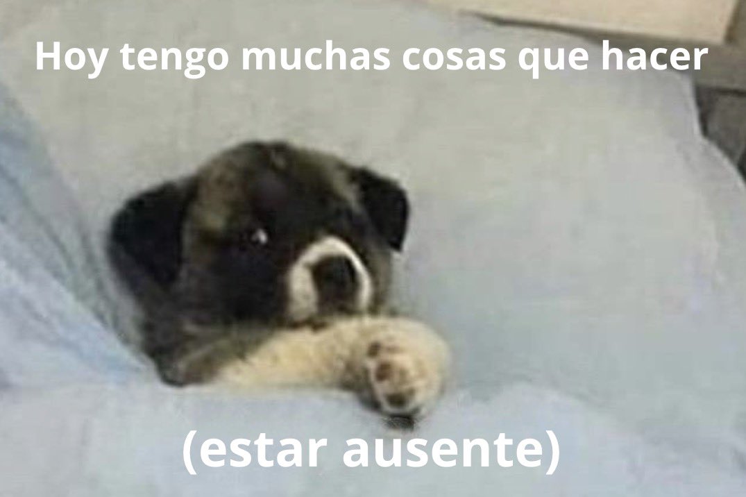 conoloracigarro's tweet photo. https://t.co/QmRBQ0sHp4