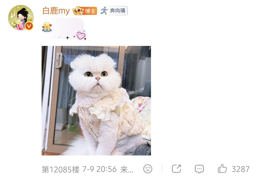 鹿人而已 tweet media