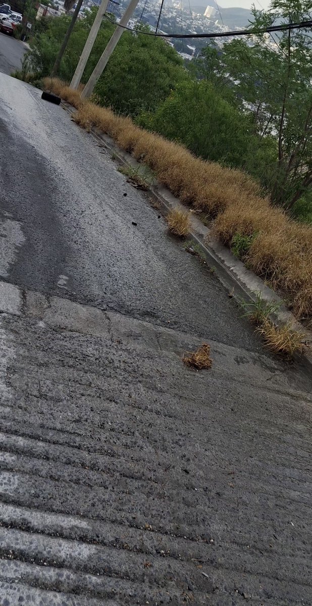 IscoArroyo11's tweet photo. @ayd_monterrey @nelvaldez  @telediariomty  hay una fuga de agua  se esta tirando  mucha del tanque que esta en puerto ángel   y loma alta https://t.co/8ERmBRfczR