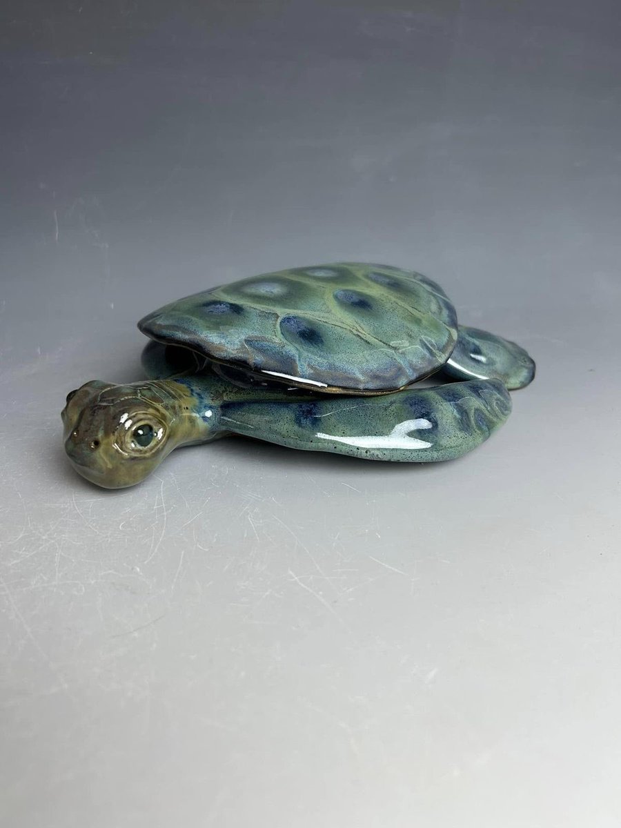 _Naturaee's tweet photo. 🐢🐢 🐢 https://t.co/zsETqV3IFR