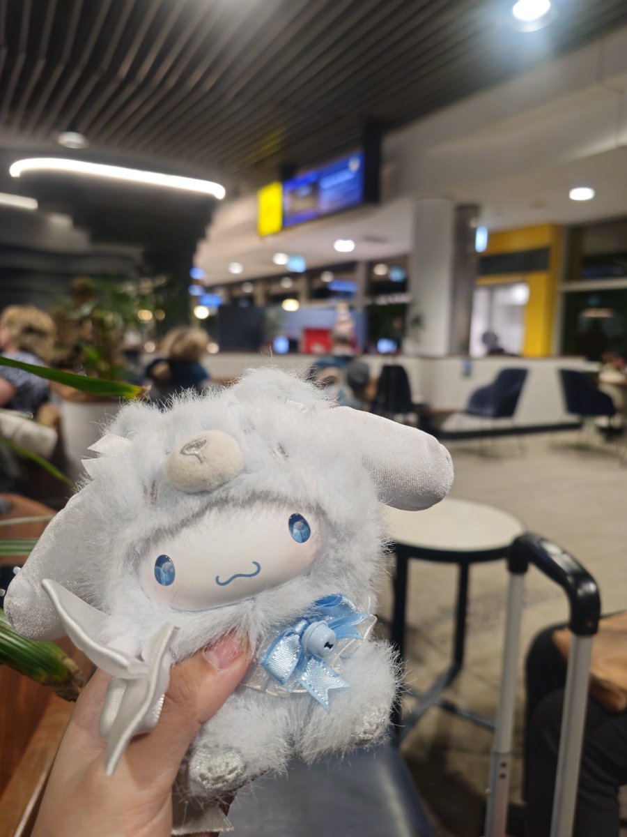 _ichiichigo_'s tweet photo. Travel Diary Log 1: I travelled to Sydney today for smash! It was a really early start (3.30 i had to wake up!) But I went to visit my Nan, got an arvo coffee with friends and then IDOL NEXUS! I'm very tired 😴 https://t.co/1umjpu1zEq