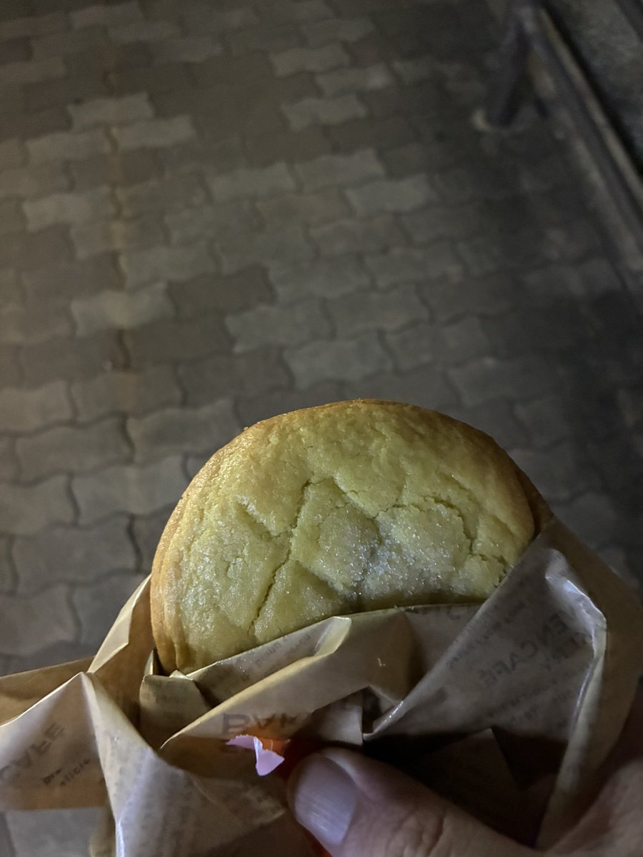 desuanaru's tweet photo. メロンパンチョコクッキーを食す！ https://t.co/q81JhUNxqP