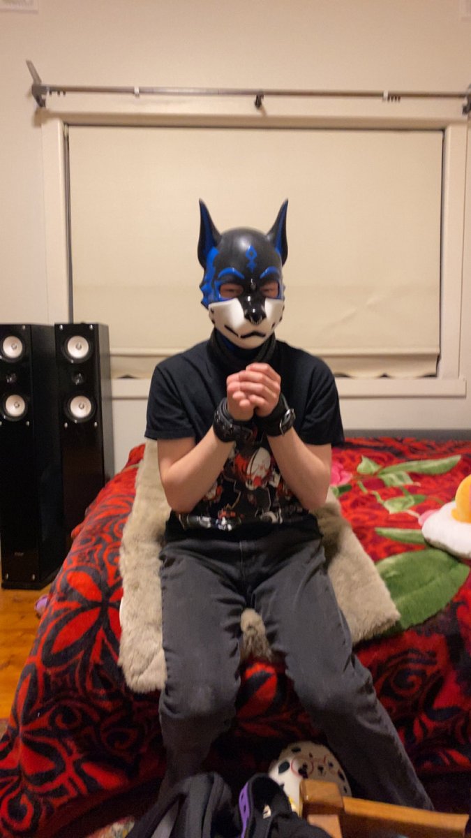 PuppyFinn2001's tweet photo. Last week a mate put cuffs on me and beat me with pillows, was very fun :3 https://t.co/AyRsIN4CZg