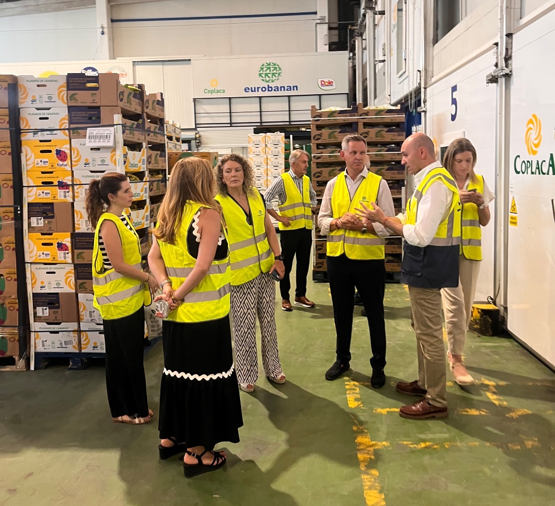 Mercasa_mercas's tweet photo. 📍 Visitamos @Eurobanan en @MercalicanteSA

🏢 Empresa referente del sector #hortofrutícola y presente en varias #Mercas de la Red #Mercasa, es ejemplo del papel de las empresas mayoristas como motor de competitividad, inversión y crecimiento para el sector 🍌🚛

#SomosRed https://t.co/VnAU8qXiub