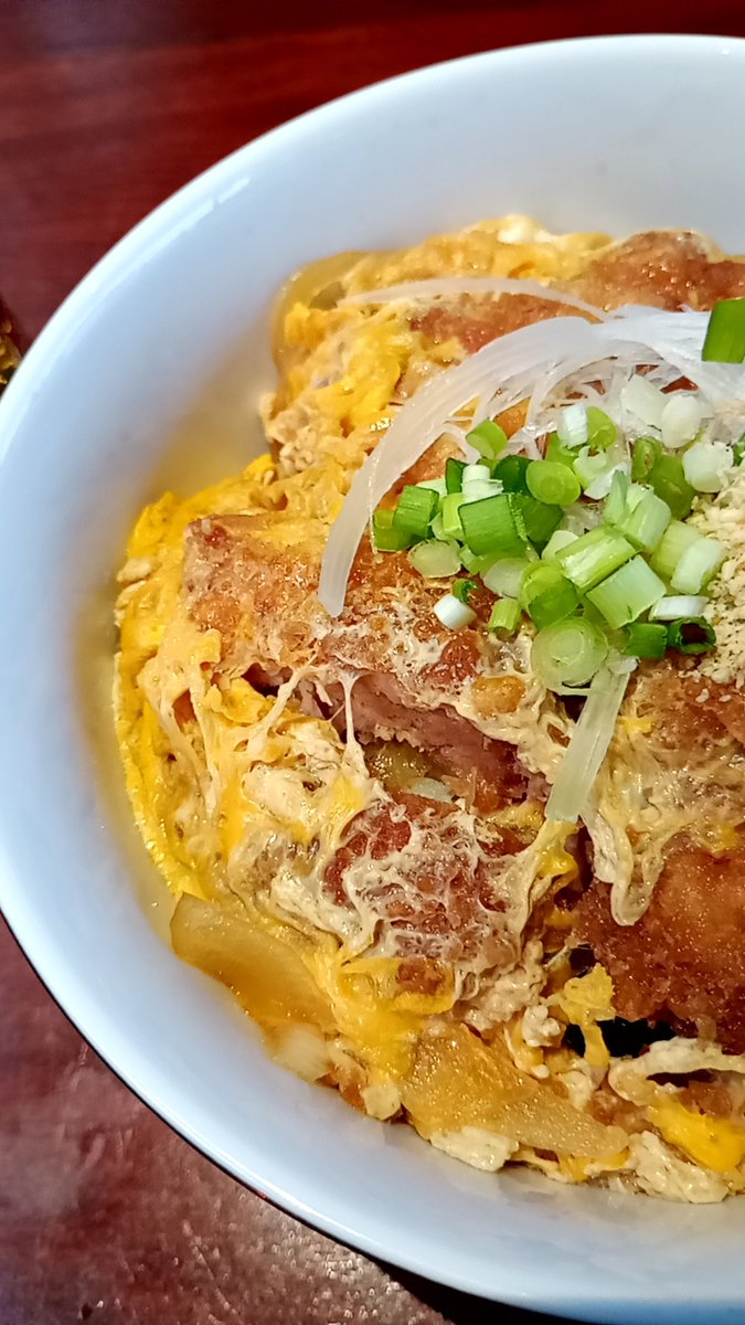 Post by 森轍(もりわだち) on X: カツ丼😃