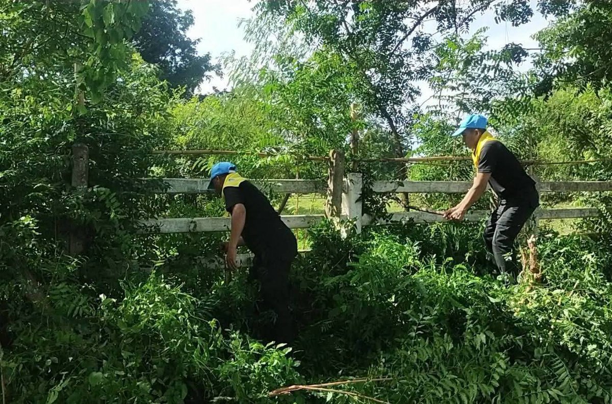 RTARF_PR's tweet photo. วันพฤหัสบดีที่ 9 กรกฎาคม พ.ศ. 2569 กองบัญชาการกองทัพไทย โดย หน่วยส่งเสริมการเกษตรและสหกรณ์ที่ 1 สำนักงานทหารพัฒนา หน่วยบัญชาการทหารพัฒนา จัดจิตอาสาของหน่วย พร้อมรถตักหน้าขุดหลัง จำนวน 1 คัน ร่วมกันทำความสะอาด เก็บกวาดเศษขยะ 

https://t.co/DXIFOLCAX9 https://t.co/mcjxD61nqM
